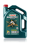 Magnatec Pick Up 15W40